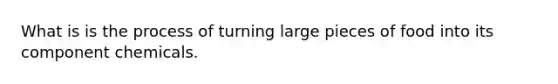 What is is the process of turning large pieces of food into its component chemicals.