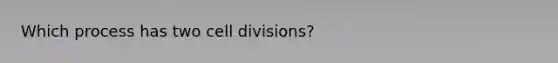 Which process has two cell divisions?