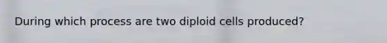 During which process are two diploid cells produced?