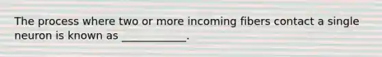 The process where two or more incoming fibers contact a single neuron is known as ____________.