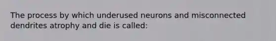 The process by which underused neurons and misconnected dendrites atrophy and die is called: