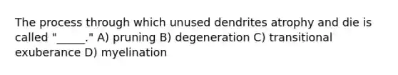 The process through which unused dendrites atrophy and die is called "_____." A) pruning B) degeneration C) transitional exuberance D) myelination