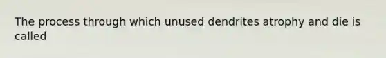 The process through which unused dendrites atrophy and die is called