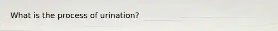 What is the process of urination?