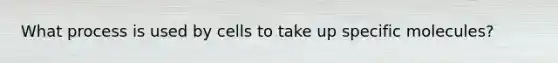 What process is used by cells to take up specific molecules?