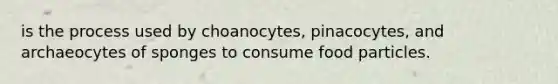 is the process used by choanocytes, pinacocytes, and archaeocytes of sponges to consume food particles.