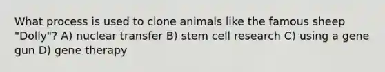 What process is used to clone animals like the famous sheep "Dolly"? A) nuclear transfer B) stem cell research C) using a gene gun D) <a href='https://www.questionai.com/knowledge/kxziHQcFFY-gene-therapy' class='anchor-knowledge'>gene therapy</a>