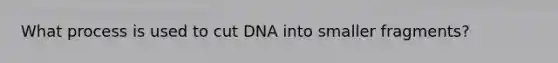 What process is used to cut DNA into smaller fragments?