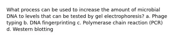 What process can be used to increase the amount of microbial DNA to levels that can be tested by gel electrophoresis? a. Phage typing b. DNA fingerprinting c. Polymerase chain reaction (PCR) d. Western blotting