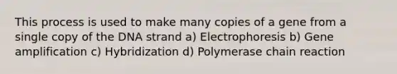 This process is used to make many copies of a gene from a single copy of the DNA strand a) Electrophoresis b) Gene amplification c) Hybridization d) Polymerase chain reaction