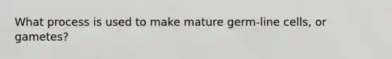 What process is used to make mature germ-line cells, or gametes?