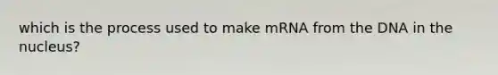 which is the process used to make mRNA from the DNA in the nucleus?