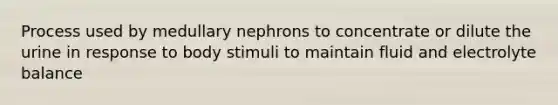 Process used by medullary nephrons to concentrate or dilute the urine in response to body stimuli to maintain fluid and electrolyte balance