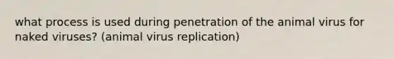 what process is used during penetration of the animal virus for naked viruses? (animal virus replication)