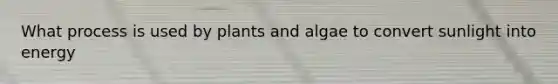 What process is used by plants and algae to convert sunlight into energy