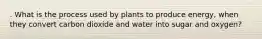 . What is the process used by plants to produce energy, when they convert carbon dioxide and water into sugar and oxygen?