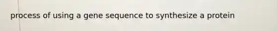 process of using a gene sequence to synthesize a protein