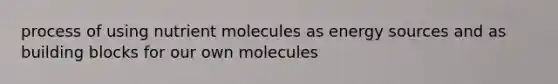 process of using nutrient molecules as energy sources and as building blocks for our own molecules