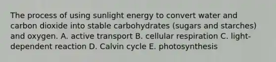 The process of using sunlight energy to convert water and carbon dioxide into stable carbohydrates (sugars and starches) and oxygen. A. active transport B. cellular respiration C. light-dependent reaction D. Calvin cycle E. photosynthesis