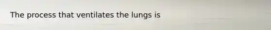 The process that ventilates the lungs is