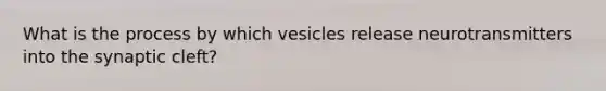 What is the process by which vesicles release neurotransmitters into the synaptic cleft?