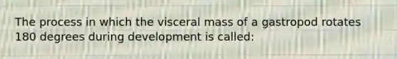 The process in which the visceral mass of a gastropod rotates 180 degrees during development is called: