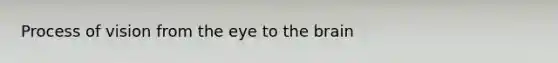Process of vision from the eye to the brain