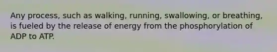 Any process, such as walking, running, swallowing, or breathing, is fueled by the release of energy from the phosphorylation of ADP to ATP.