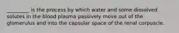 _________ is the process by which water and some dissolved solutes in the blood plasma passively move out of the glomerulus and into the capsular space of the renal corpuscle.