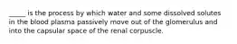 _____ is the process by which water and some dissolved solutes in the blood plasma passively move out of the glomerulus and into the capsular space of the renal corpuscle.