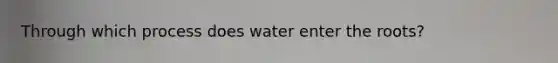 Through which process does water enter the roots?