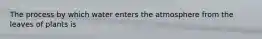 The process by which water enters the atmosphere from the leaves of plants is