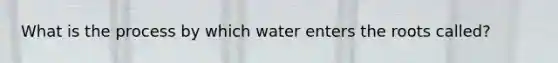 What is the process by which water enters the roots called?