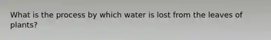 What is the process by which water is lost from the leaves of plants?