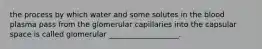 the process by which water and some solutes in the blood plasma pass from the glomerular capillaries into the capsular space is called glomerular ___________________.