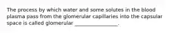 The process by which water and some solutes in the blood plasma pass from the glomerular capillaries into the capsular space is called glomerular _________________.