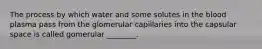 The process by which water and some solutes in the blood plasma pass from the glomerular capillaries into the capsular space is called gomerular ________.