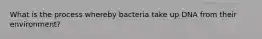 What is the process whereby bacteria take up DNA from their environment?