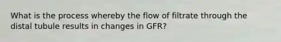 What is the process whereby the flow of filtrate through the distal tubule results in changes in GFR?