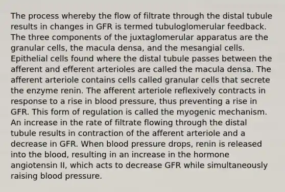 The process whereby the flow of filtrate through the distal tubule results in changes in GFR is termed tubuloglomerular feedback. The three components of the juxtaglomerular apparatus are the granular cells, the macula densa, and the mesangial cells. Epithelial cells found where the distal tubule passes between the afferent and efferent arterioles are called the macula densa. The afferent arteriole contains cells called granular cells that secrete the enzyme renin. The afferent arteriole reflexively contracts in response to a rise in <a href='https://www.questionai.com/knowledge/kD0HacyPBr-blood-pressure' class='anchor-knowledge'>blood pressure</a>, thus preventing a rise in GFR. This form of regulation is called the myogenic mechanism. An increase in the rate of filtrate flowing through the distal tubule results in contraction of the afferent arteriole and a decrease in GFR. When blood pressure drops, renin is released into <a href='https://www.questionai.com/knowledge/k7oXMfj7lk-the-blood' class='anchor-knowledge'>the blood</a>, resulting in an increase in the hormone angiotensin II, which acts to decrease GFR while simultaneously raising blood pressure.