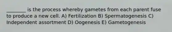 ________ is the process whereby gametes from each parent fuse to produce a new cell. A) Fertilization B) Spermatogenesis C) Independent assortment D) Oogenesis E) Gametogenesis