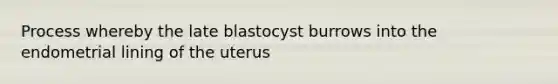 Process whereby the late blastocyst burrows into the endometrial lining of the uterus