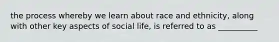 the process whereby we learn about race and ethnicity, along with other key aspects of social life, is referred to as __________