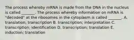 The process whereby mRNA is made from the DNA in the nucleus is called _______. The process whereby information on mRNA is "decoded" at the ribosomes in the cytoplasm is called _______. A. translation; transcription B. transcription; interpretation C. transcription; identification D. transcription; translation E. induction; translation