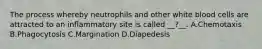 The process whereby neutrophils and other white blood cells are attracted to an inflammatory site is called __?__. A.Chemotaxis B.Phagocytosis C.Margination D.Diapedesis