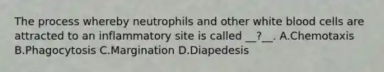 The process whereby neutrophils and other white blood cells are attracted to an inflammatory site is called __?__. A.Chemotaxis B.Phagocytosis C.Margination D.Diapedesis