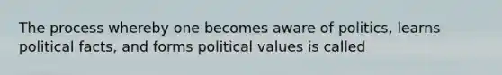 The process whereby one becomes aware of politics, learns political facts, and forms political values is called