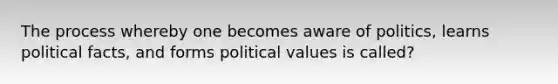 The process whereby one becomes aware of politics, learns political facts, and forms political values is called?