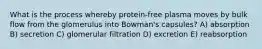 What is the process whereby protein-free plasma moves by bulk flow from the glomerulus into Bowman's capsules? A) absorption B) secretion C) glomerular filtration D) excretion E) reabsorption