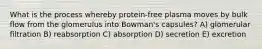 What is the process whereby protein-free plasma moves by bulk flow from the glomerulus into Bowman's capsules? A) glomerular filtration B) reabsorption C) absorption D) secretion E) excretion